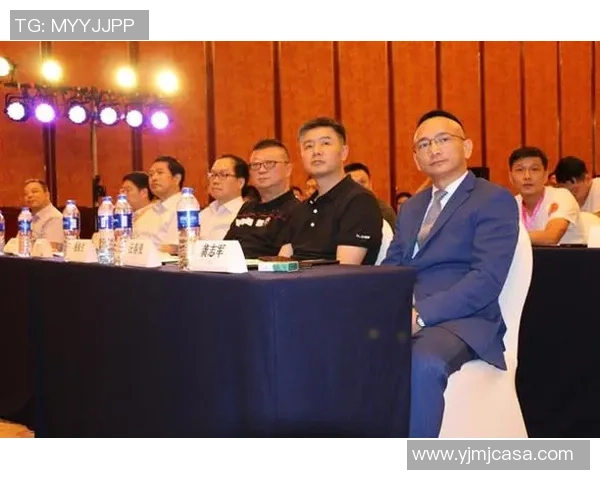 南京羽毛球队逆风翻盘的创新之路与未来展望